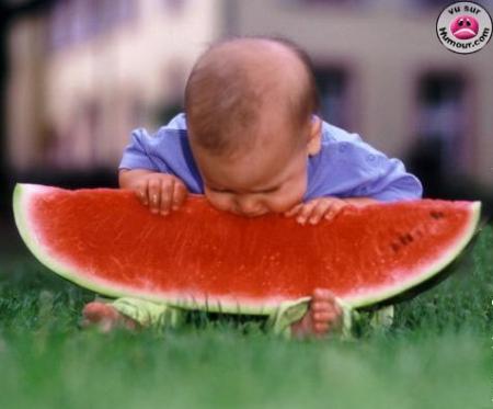 Gros melon d'eau!
